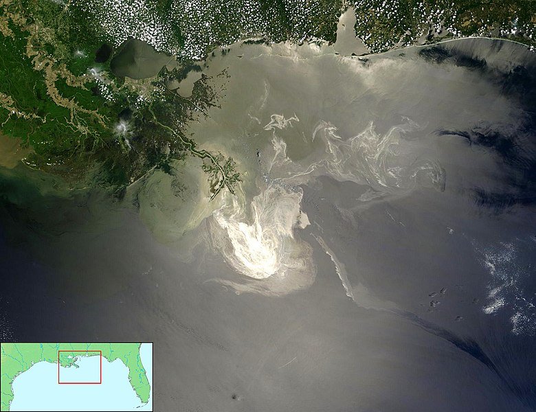 Oil Spill Deepwater Horizon Environment Nature
